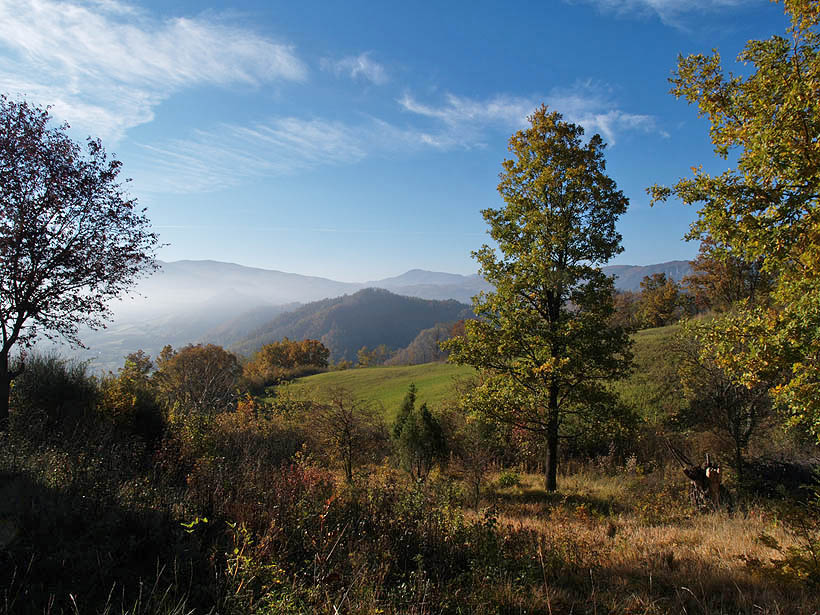 Oasi naturalistica del Carmine